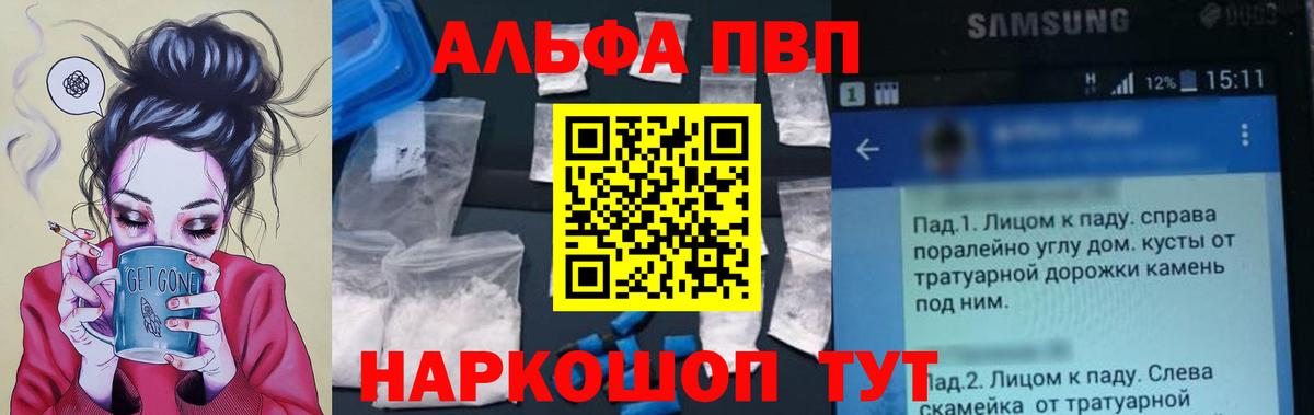 A-PVP СК Петропавловск-Камчатский